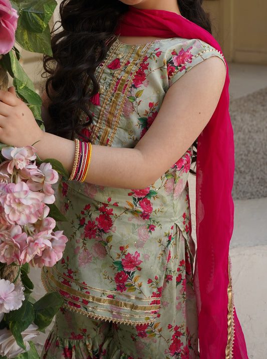 Gulzar-e-Rang (گلزارِ رنگ)